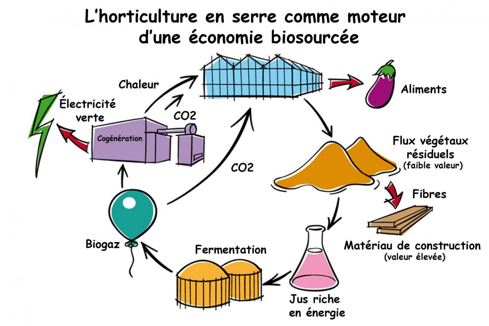 L-horticulture-en-serre-comme-moteur-d-une-e-conomie-biosource-e.jpg