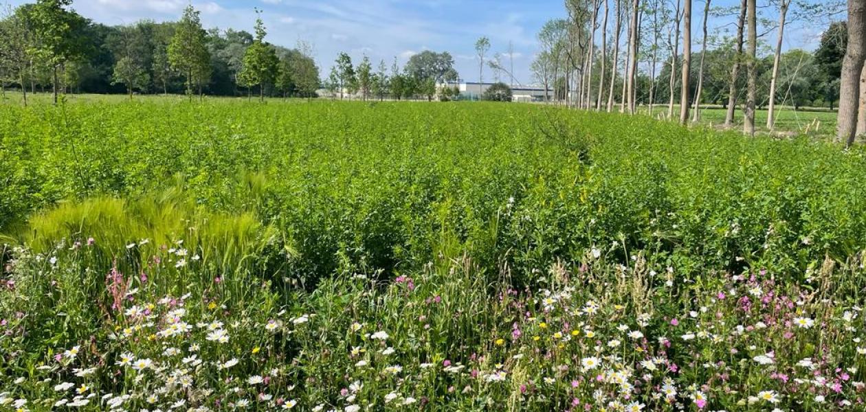 Création d’une fondation chargée de la qualité de vie des riverains aux abords de VDL Nedcar