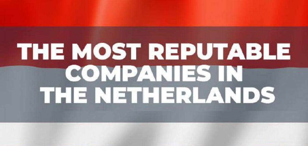 VDL op plek 7 onderzoek Reputation Institute